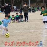 25u7-309