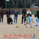 25u7-333