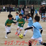 25u7-347
