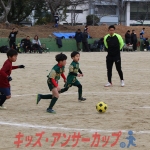 25u7-299