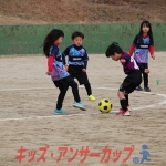 25u7-33