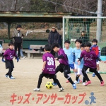 25u7-81