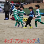 25u7-161