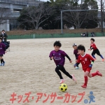 25u7-184