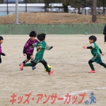 25u7-209