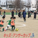 25u7-217
