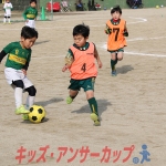 25u7-225