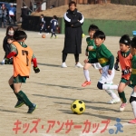 25u7-228