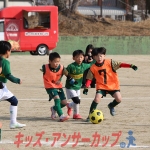 25u7-229
