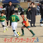25u7-231