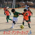 25u7-233