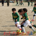 25u7-234