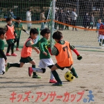 25u7-239