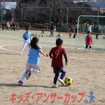 25u7-244