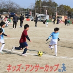 25u7-247