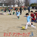 25u7-249
