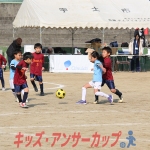 25u7-254