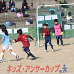25u7-259