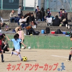 25u7-261