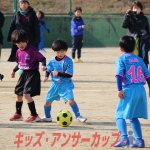 25u7-274
